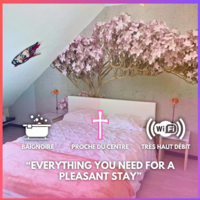 Rêve Rose Studio Équipé, Wifi, Vue